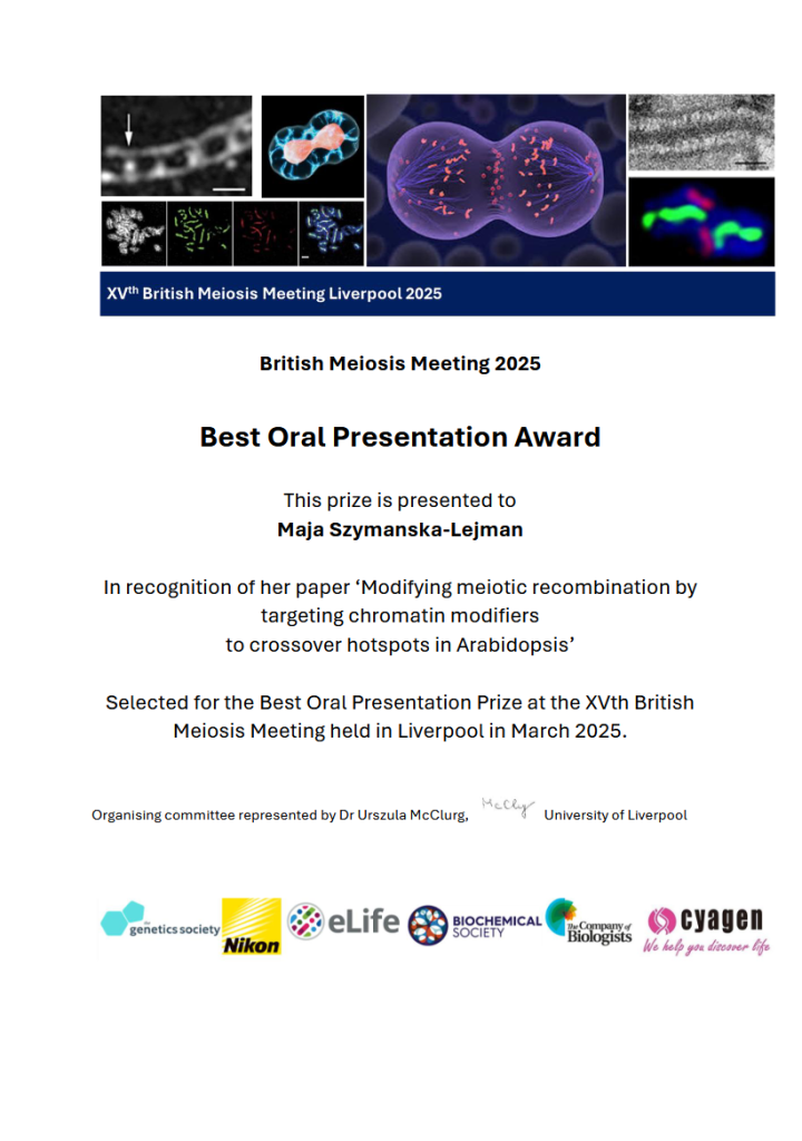 Dyplom Mai Szymańskiej-Lejman. Treść dyplomu: British Meiosis Meeting 2025, Best Oral Presentation Award,
This prize is presented to Maja Szymanska-Lejman. In recognition of her paper ‘Modifying meiotic recombination by targeting chromatin modifiers to crossover hotspots in Arabidopsis’. Selected for the Best Oral Presentation Prize at the XVth British Meiosis Meeting held in Liverpool in March 2025. Organising committee represented by Dr Urszula McClurg, University of Liverpool.
